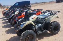 Quad Bike in Palmeraie Marrakech