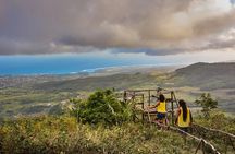 South Tour with private pickup & entrance tickets included