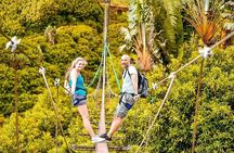 South Tour with private pickup & entrance tickets included