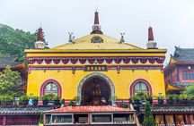 Private Full-day Trip: Leshan Giant Buddha&Emeishan Scenic Resort