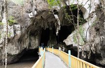 2 Hours Private Mangrove Tour Langkawi