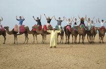 Camel Ride in Tangier