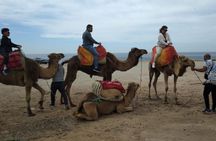 Camel Ride in Tangier