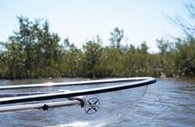 2-Hour Glass Bottom Guided Eco Tour in Flagler County-Small-group