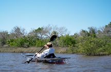 2-Hour Glass Bottom Guided Eco Tour in Flagler County-Small-group