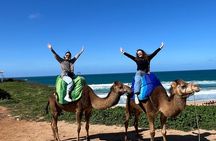 Tarifa to Tangier Tour with ferry ticket , lunch & camel ride 
