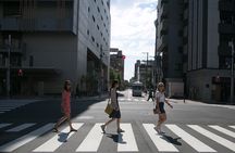 Discover Tokyo 3 Hour Customizable Private Walking Tour