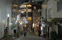Discover Tokyo 3 Hour Customizable Private Walking Tour