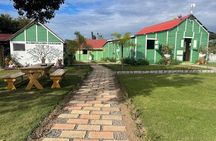 City Half-Day Cultural Tour of Punta Cana and Higuey