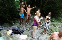 Private Experience with the Emberá Community in Panama City