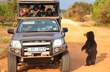 Safari Expedition's in Wild Wonders of Yala