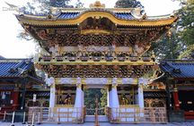 Nikko Full Day Private Tour with English Speaking Driver