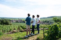 Full day from Beaune: the most of Burgundy, with lunch