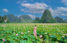 Ninh Binh 1 Day: Hoa Lu & Trang An & Mua Cave 