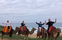 Tarifa to Tangier Tour with ferry ticket , lunch & camel ride 