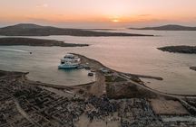 Half Day Delos Tour of Mykonos from the Cruise Ship Port