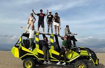 From Lima Come and meet Paracas, Ica and Huacachina!