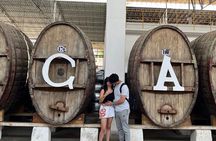 From Lima Come and meet Paracas, Ica and Huacachina!