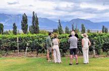 WINERIES DAY with Private Driver and Michelin Guide Lunch