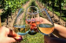 Wine Tasting & Vineyards Escape near Tirana