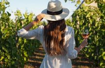 Wine Tasting & Vineyards Escape near Tirana