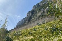 3 Hours Historical Tunnel Shore Excursion of Gibraltar