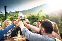 Niagara Wine Tour and Tastings with Included Transportation 
