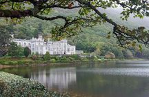 Galway 1.5hr Riverboat Cruise plus 1.5hr Historic City walk 