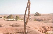 10 Days Tour in Morocco from Casablanca or Marrakech