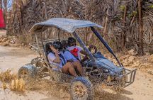  Punta Cana Buggy Adventure + Horseback Ride & Free Pick-Up