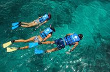 Swim with dolphins encounter and interaction in Punta Cana