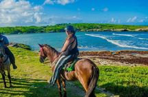 Punta Cana Horseback Ride: Jungle, Macao Beach & Free Pick Up