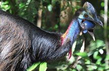 Mossman Gorge Daintree Experience Small Groups