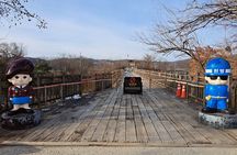 DMZ Guided Tour with N.K./Gondola/Suspension Bridge from Seoul