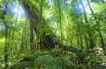 Mossman Gorge Daintree Experience Small Groups