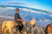 Punta Cana Horseback Ride: Jungle, Macao Beach & Free Pick Up