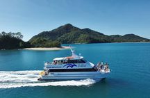 Cairns: Semi-Private | Outer Reef Snorkel & Dunk Island