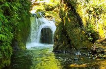 Full Day of Adventures in Mindo Area