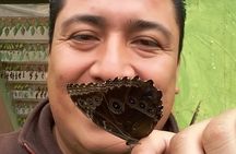 Full Day of Adventures in Mindo Area