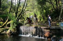 Horseback Riding Adventure in the Mountains with Traditional Food in CDMX