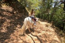 Horseback Riding Adventure in the Mountains with Traditional Food in CDMX