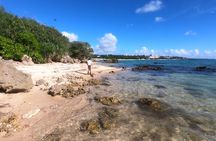 Snorkeling in Okinawa: Private booking