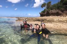 Snorkeling in Okinawa: Private booking