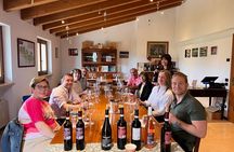 Discover the Amarone wine: 1 winery with delicious food pairing