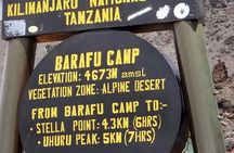 Climb Mount Kilimanjaro: 7 Days Machame Route
