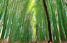 Kyoto Full Course Tour: Explore 10 Must-See Sights & Hidden Gems