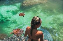 Sea Turtles Aquarium, Fishermans Village and Dhow Sunset Cruise