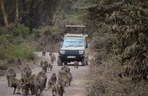 4 Days Group Camping Safari of Tanzania