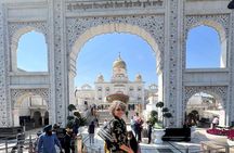 Delhi: Best 4 to 8 hour Old and New Delhi City Tour-All Inclusive