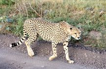 Amboseli & Nairobi National Park 3 Day Safari